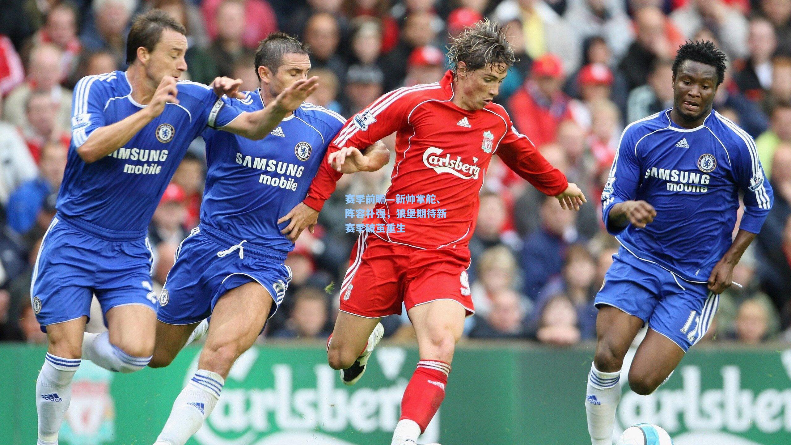 赛季前瞻—新帅掌舵、阵容补强,狼堡期待新赛季破茧重生